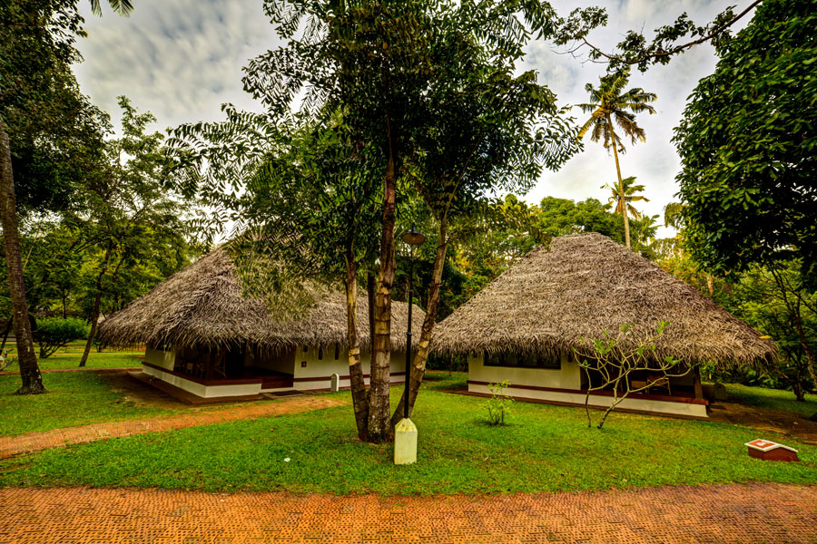 Marari Beach Resort Accommodation