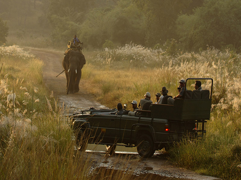 Bandhavgarh