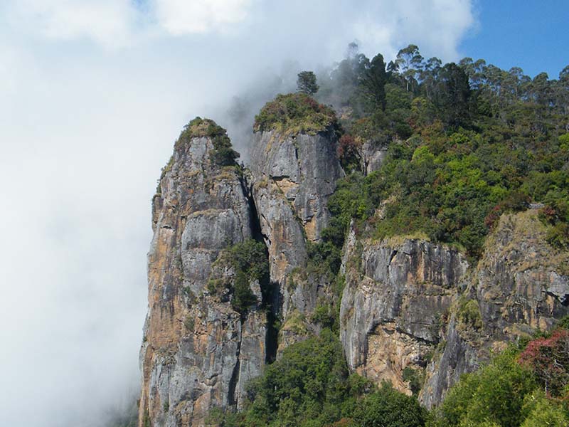 Ooty